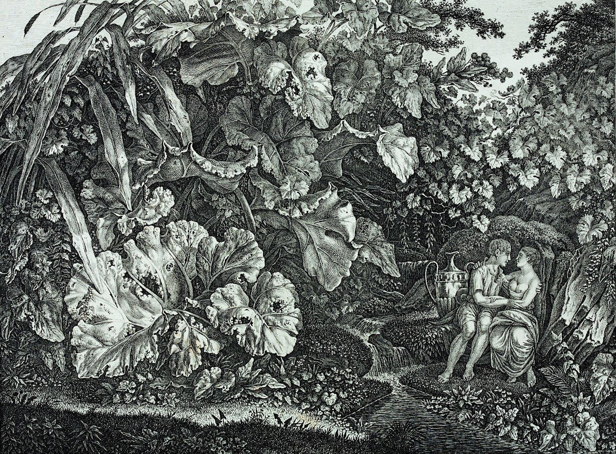 Elskere i en grotte, omgivet af planter og urter af Carl Wilhelm Kolbe