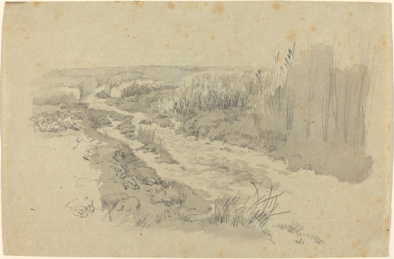 En sti gennem marker nær Leipzig af Carl Gustav Carus