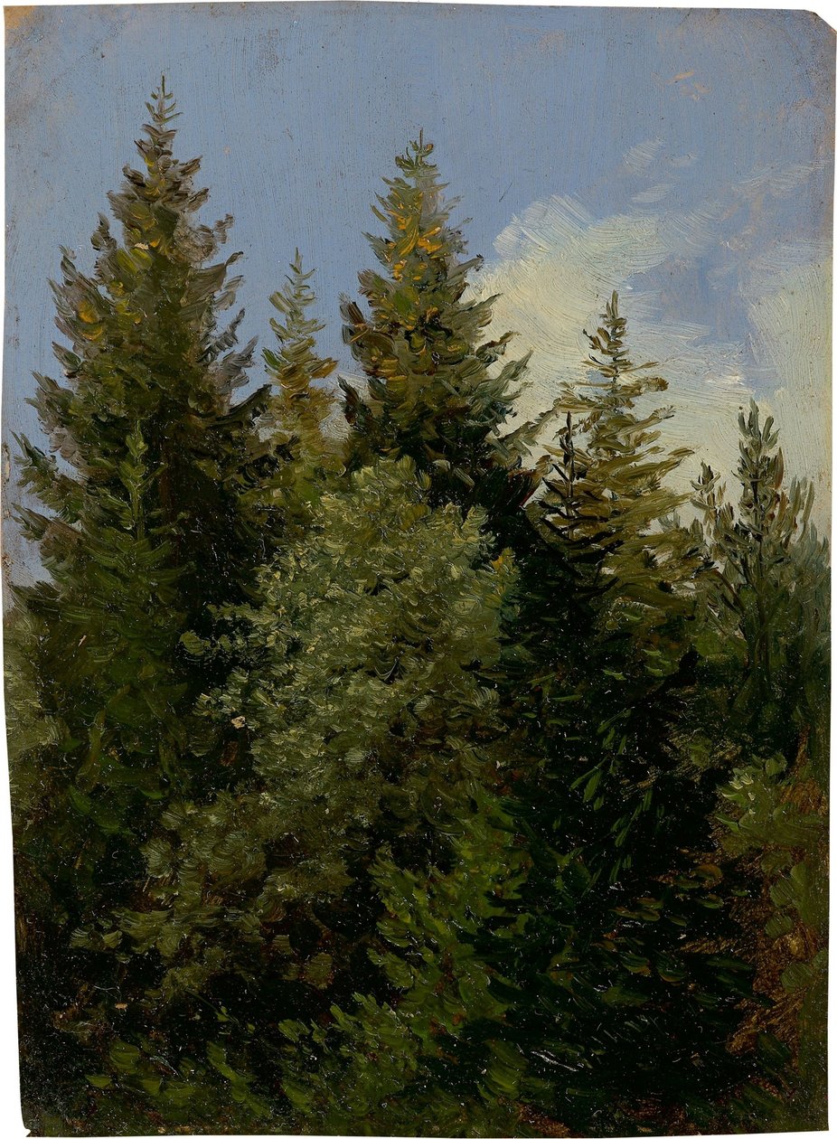 Graner af Carl Gustav Carus