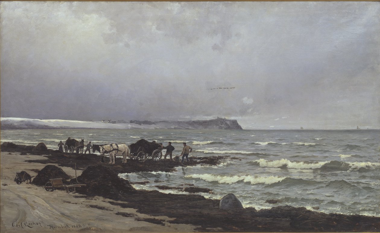 Der læsses tang ved Hornbæk Strand af Carl Locher