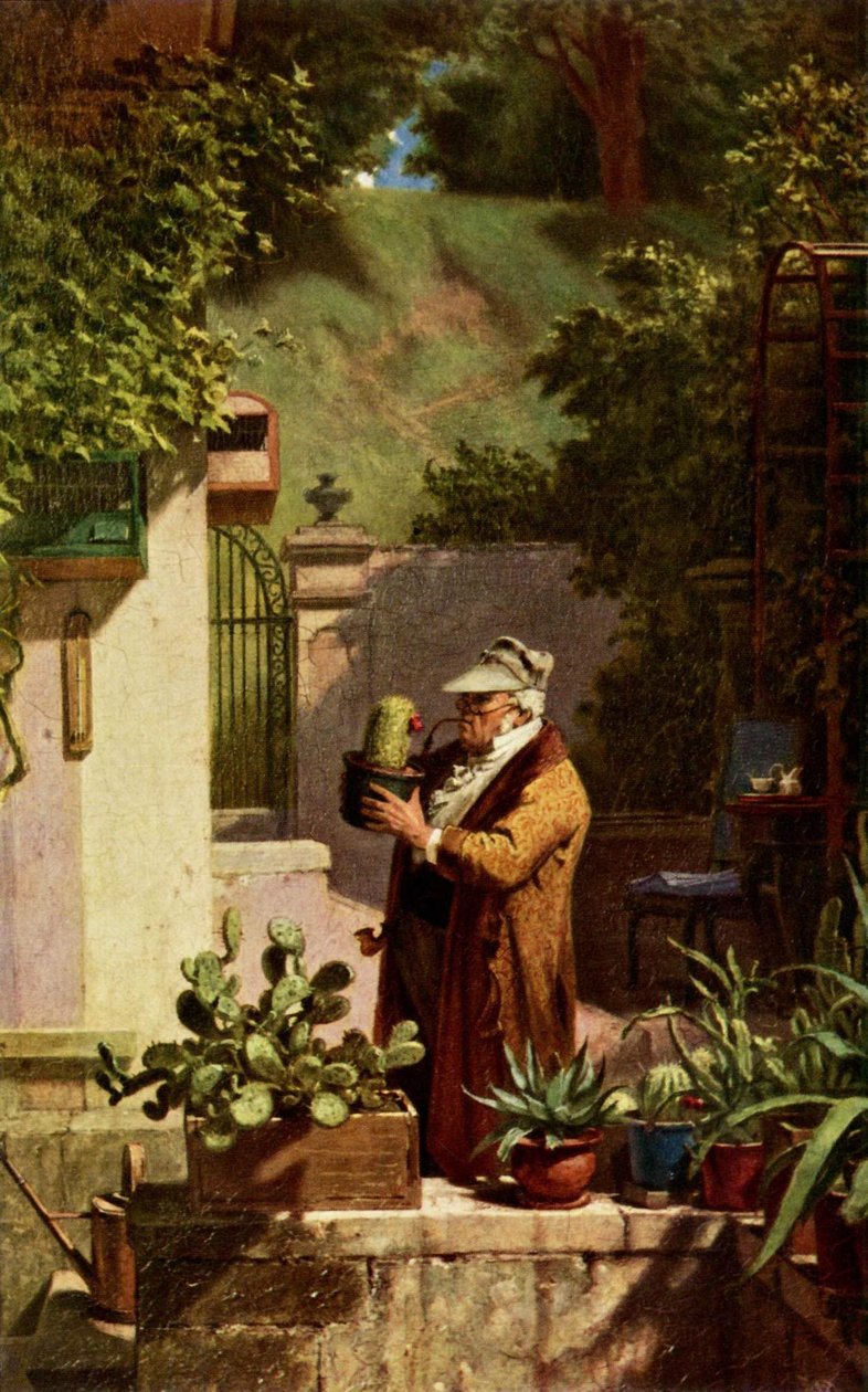 Kaktus af Carl Spitzweg