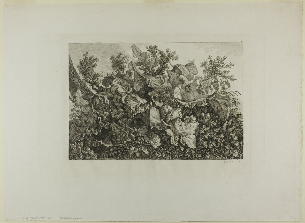 Sumpplanter af Carl Wilhelm Kolbe, the elder