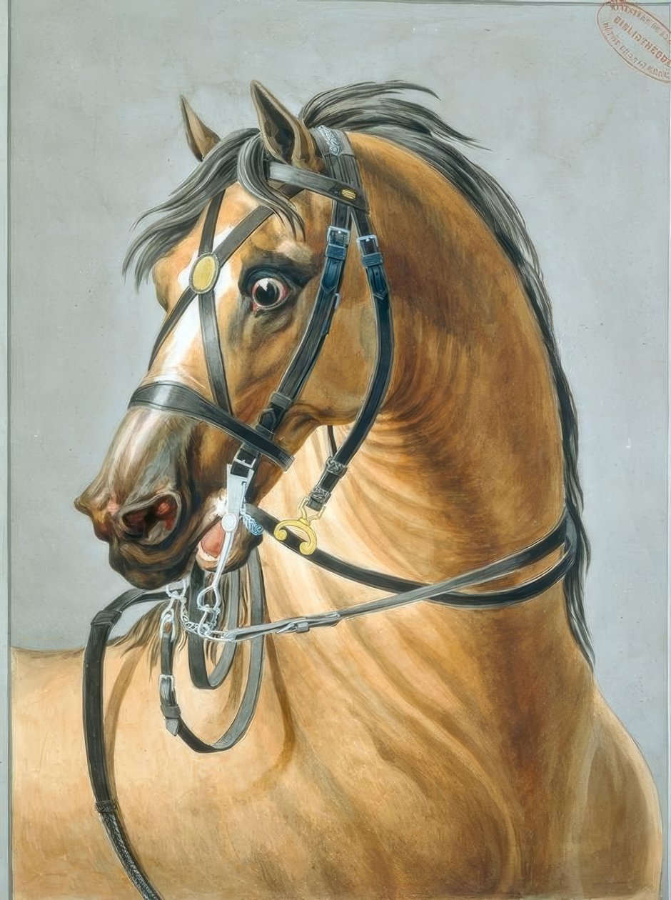 Trense til artilleriheste af Carle Vernet