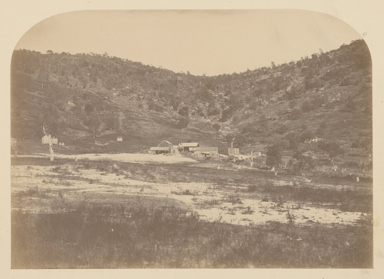(Bear Valley Mill) af Carleton E. Watkins