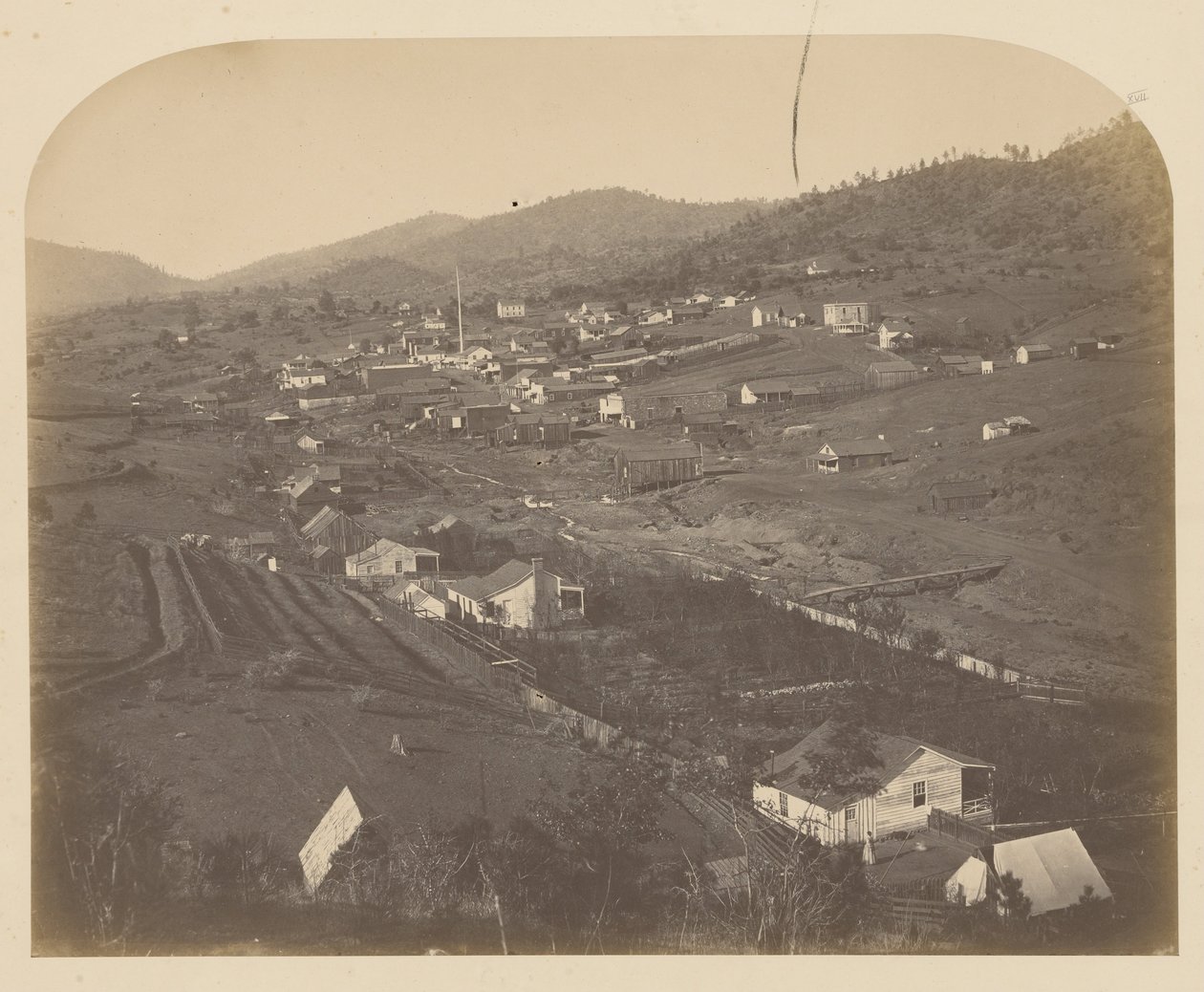 (Mariposa af Carleton E. Watkins