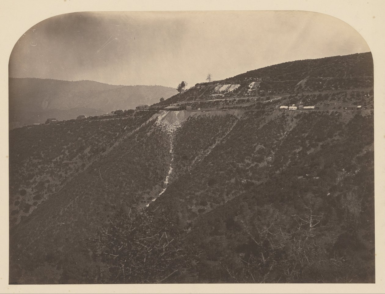 (Pine Tree Mine) af Carleton E. Watkins