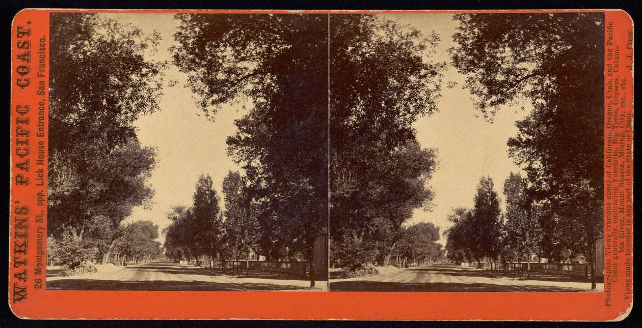 (Gadeudsigt med træer i San Gabriel, Californien) af Carleton E. Watkins