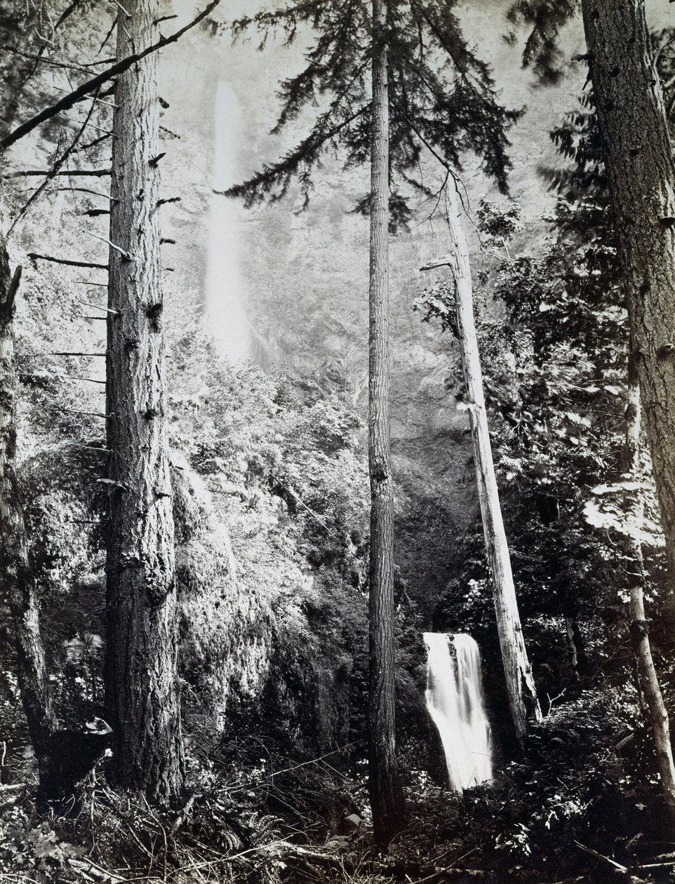 Multnomah Falls, Cascades, Columbia River af Carleton E. Watkins
