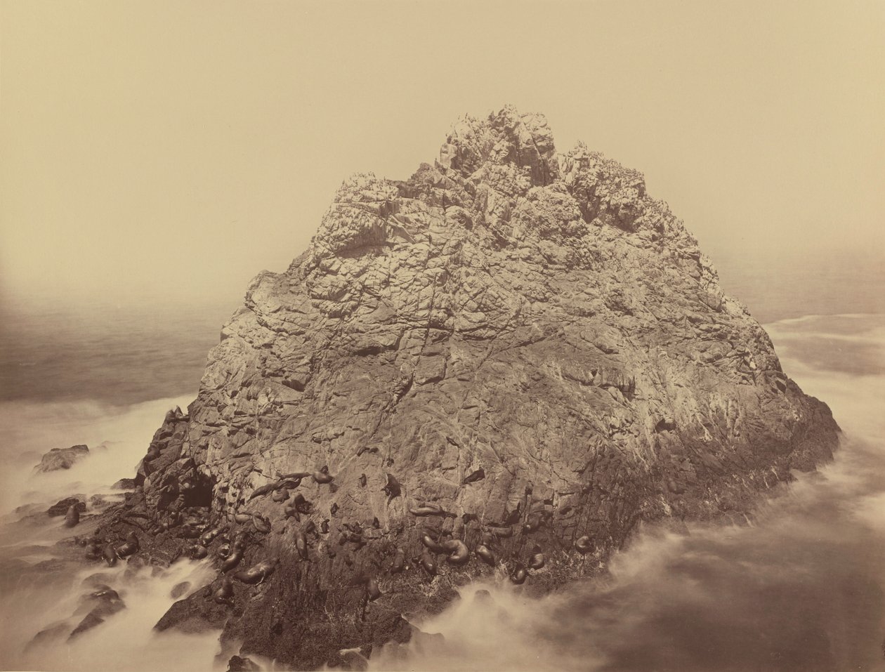 Sugar Loaf Island, Farallons,1868/1869 (foto) af Carleton Emmons Watkins