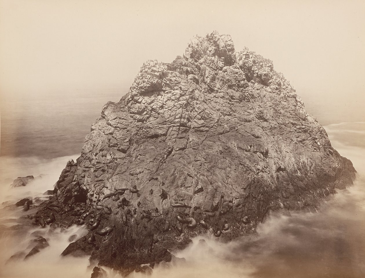 Sugar Loaf Islands, Farallons, 1868-69. af Carleton Emmons Watkins