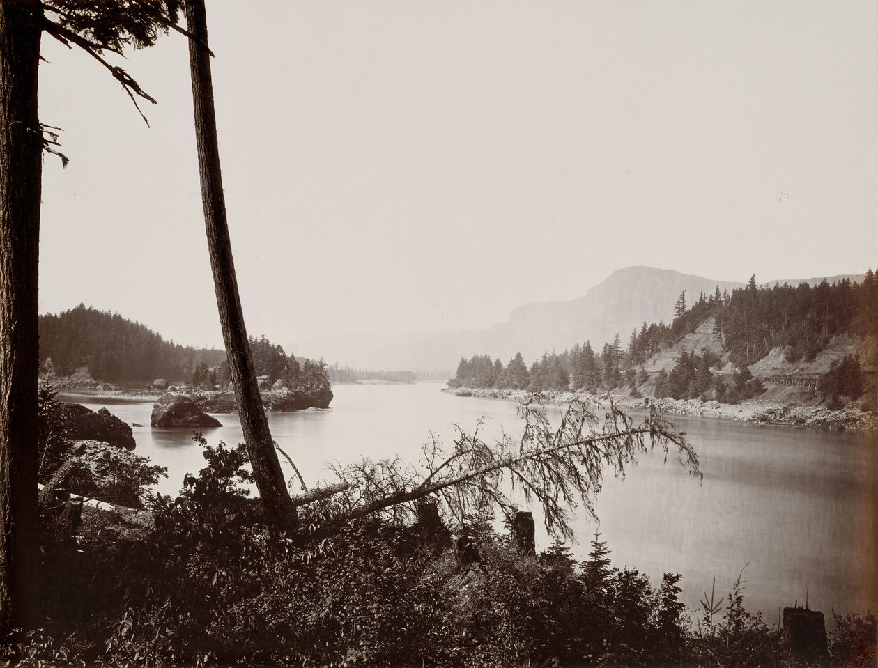 Udsigt over Columbia, Cascades, 1867. af Carleton Emmons Watkins