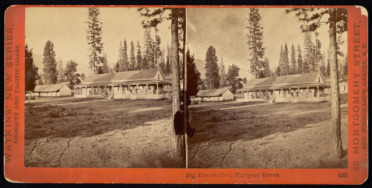 Big Tree Station, Mariposa Grove af Carleton Watkins