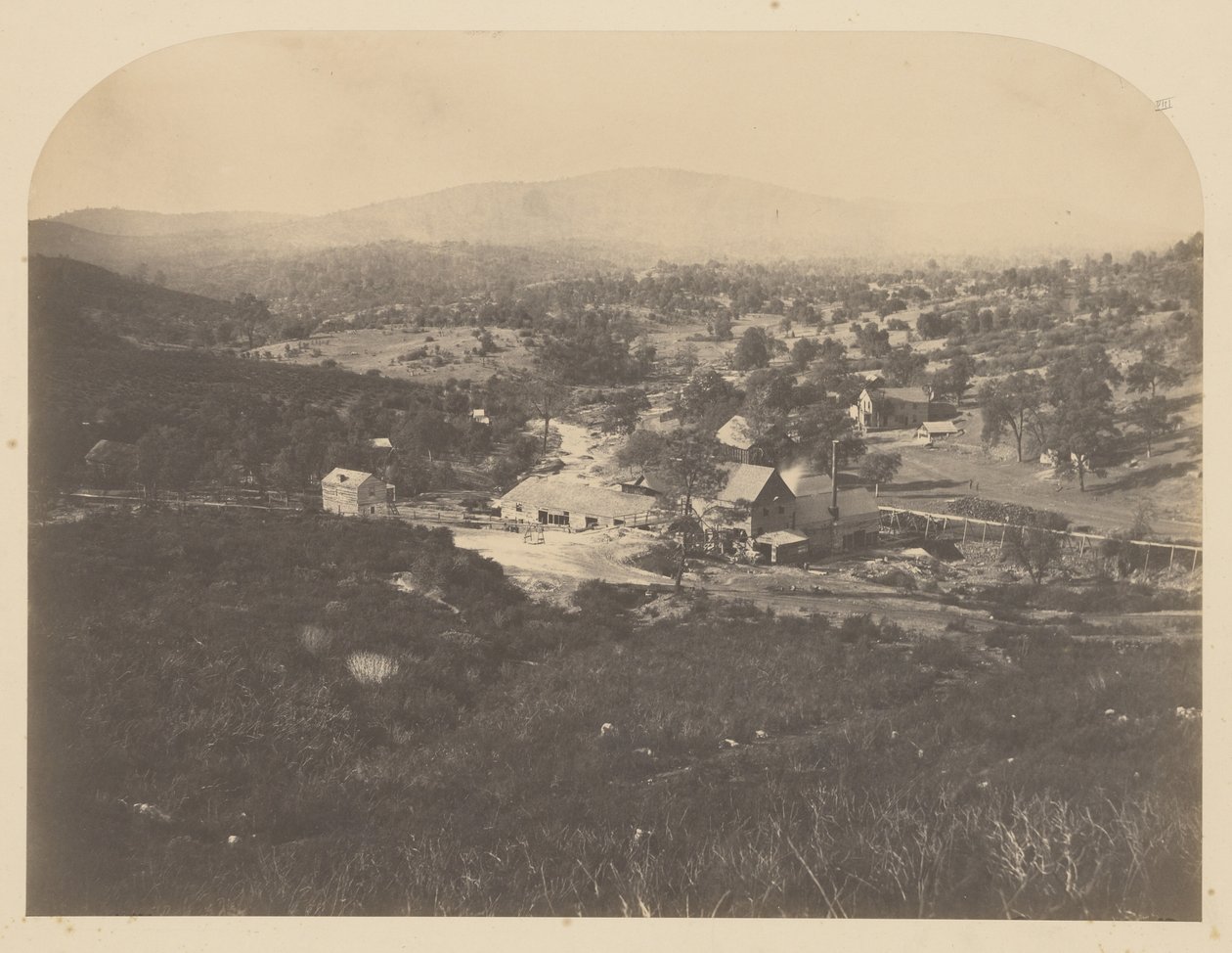 [Mt. Ophir - Nord] af Carleton Watkins