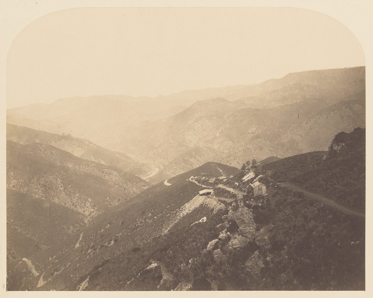 [Pine Tree Mine] af Carleton Watkins