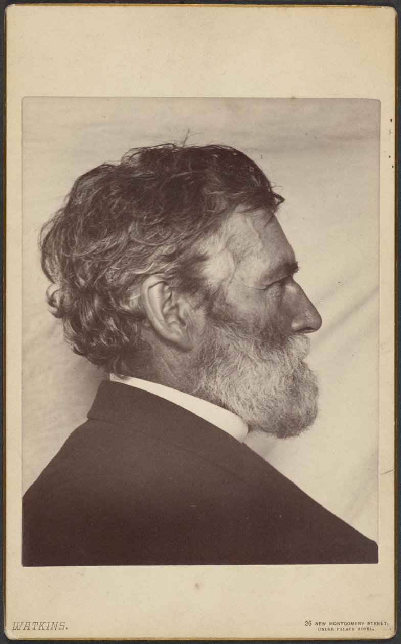 Portræt af George Davidson af Carleton Watkins