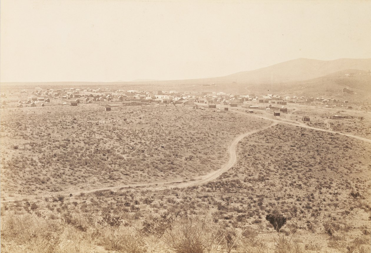 [Tombstone, Arizona] af Carleton Watkins