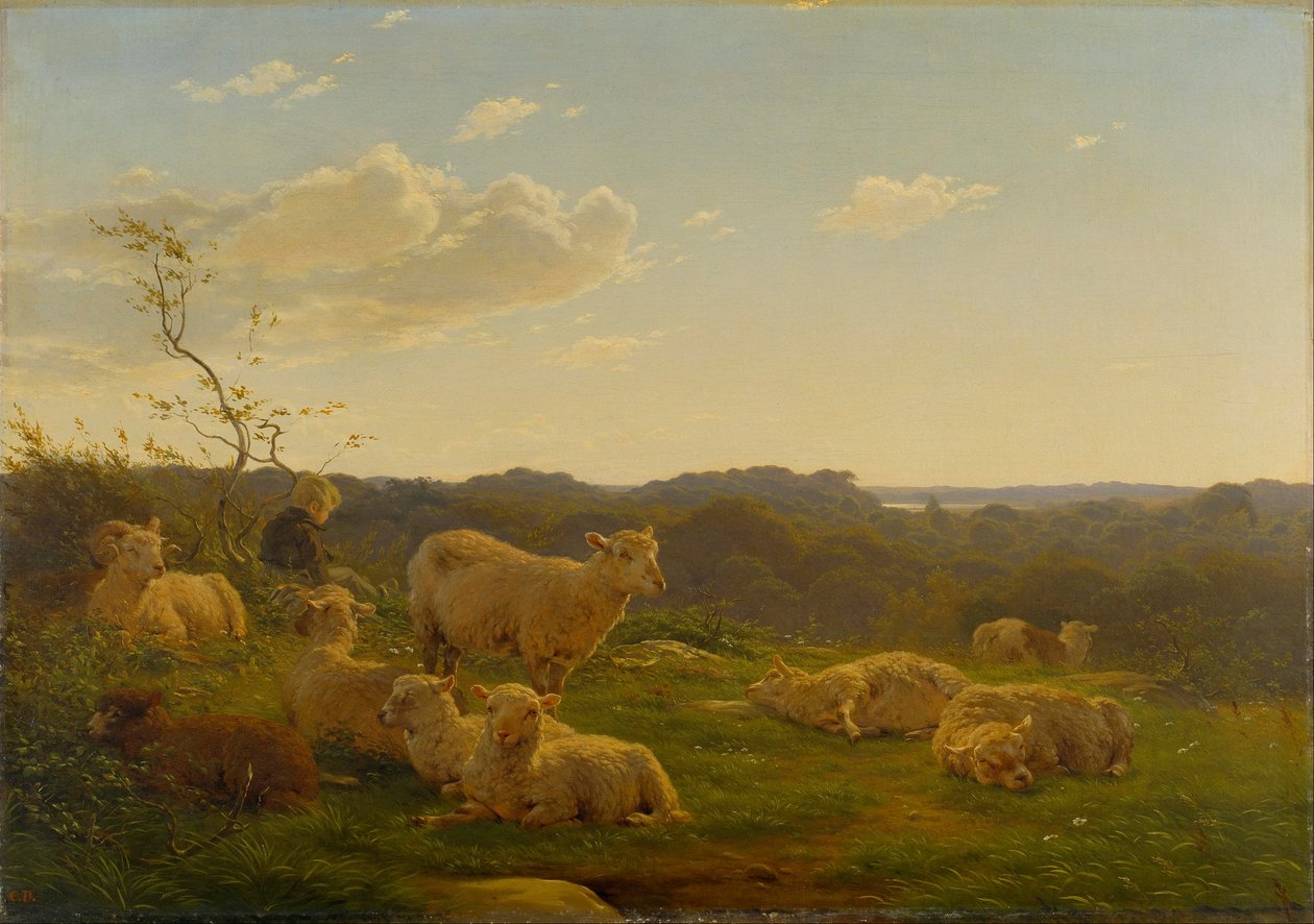 Får på en bakke nær Skarridsø. af Carlo Dalgas