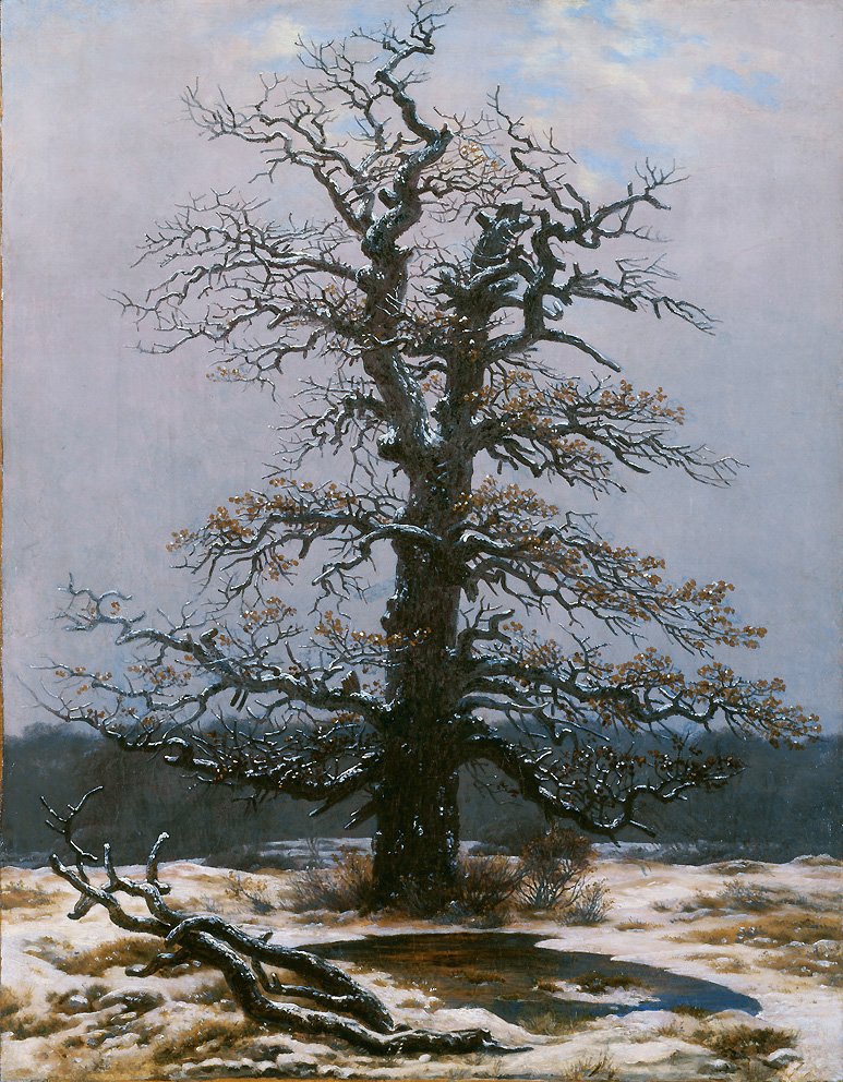 Eg i sneen af Caspar David Friedrich