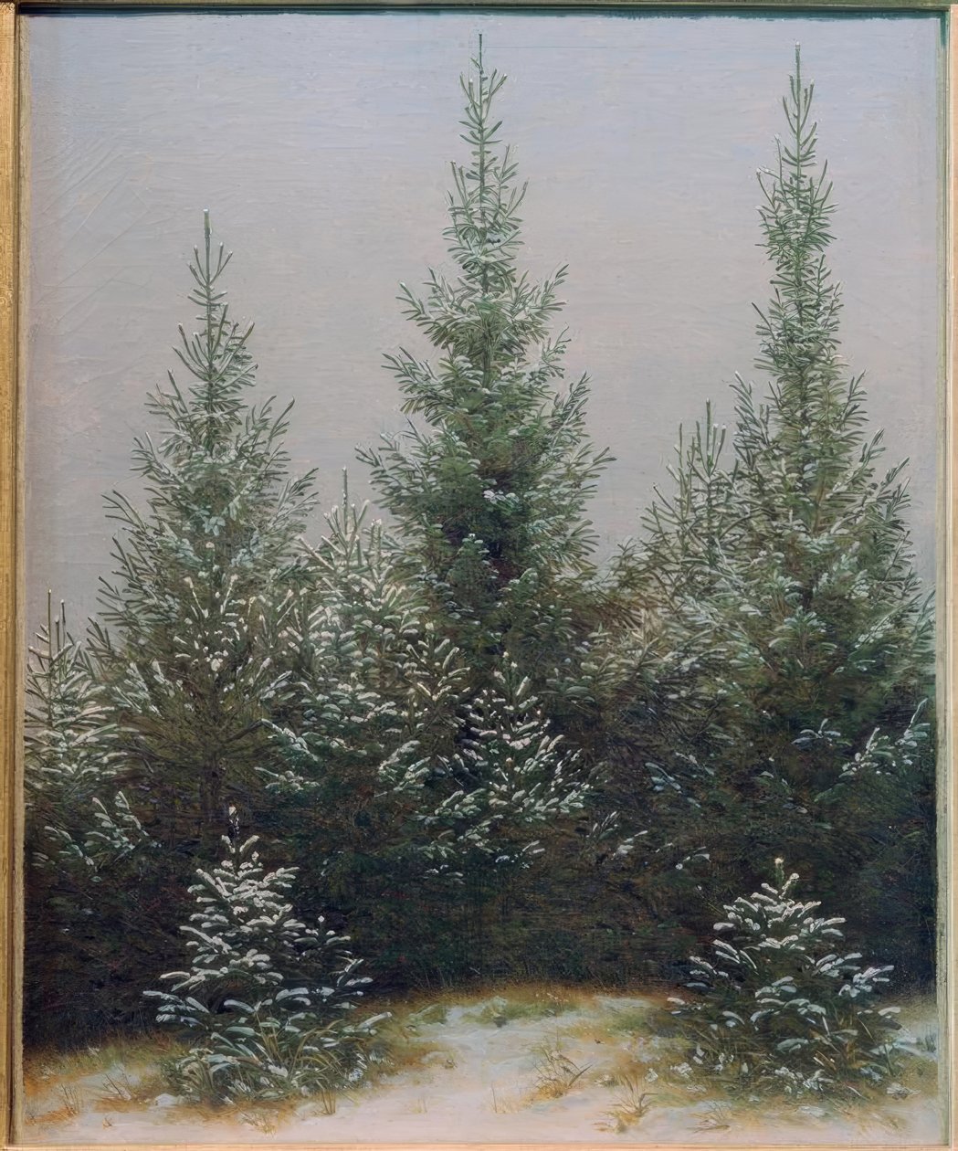 Grankrat i sneen af Caspar David Friedrich