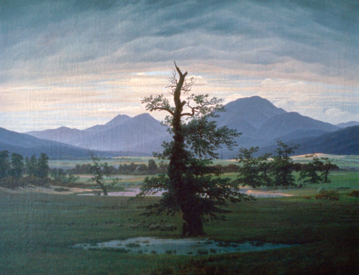 Det ensomme træ, 1823 af Caspar David Friedrich