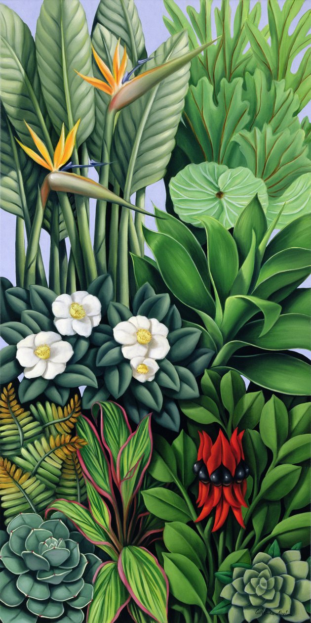 Løv II af Catherine Abel
