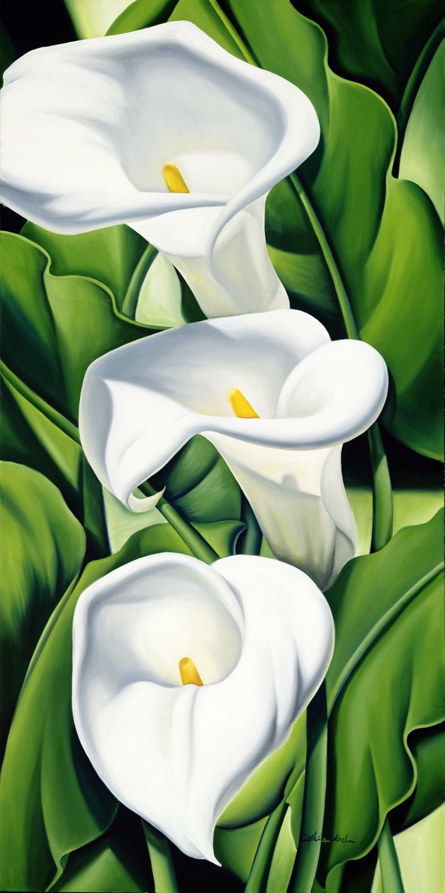 Liljer af Catherine Abel