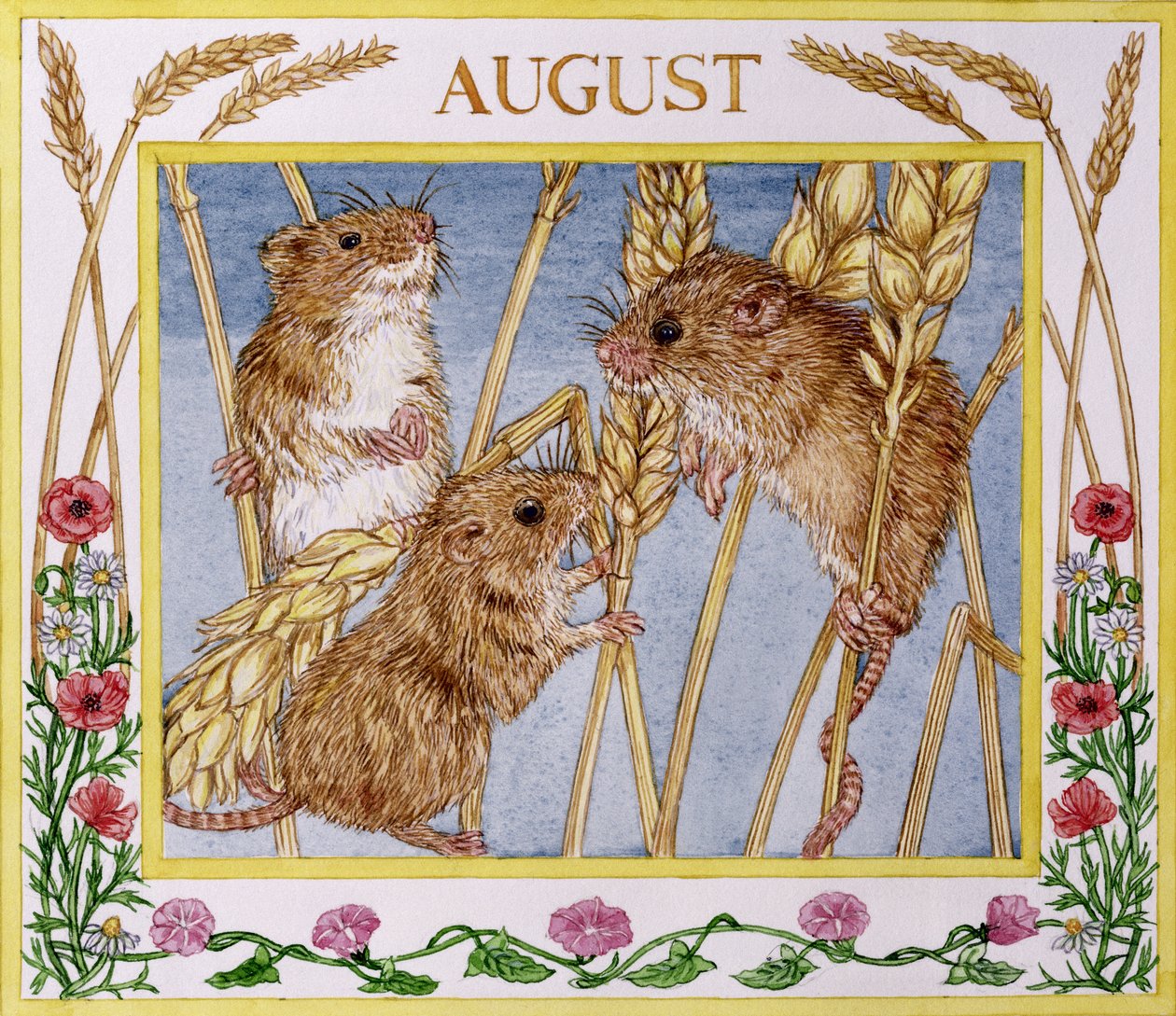 august (wc på papir) af Catherine Bradbury