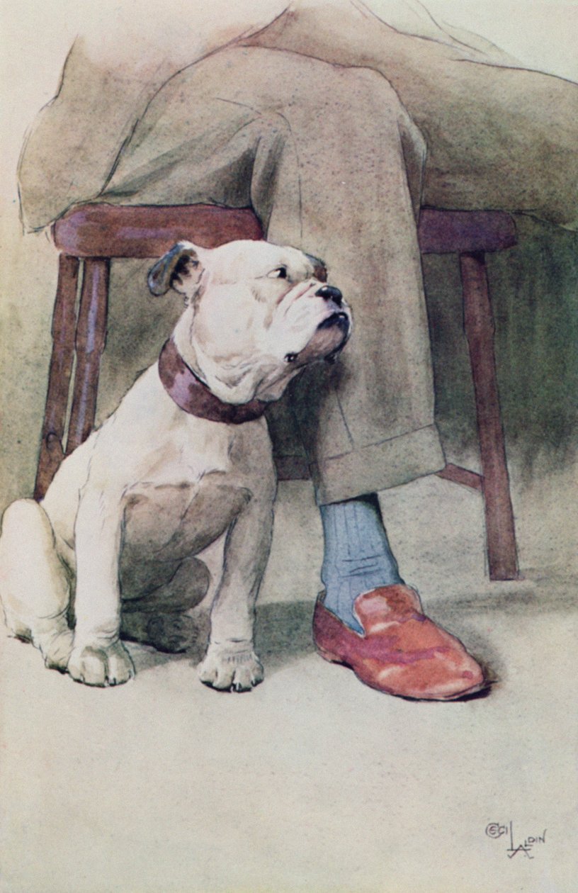 Bulldog (pen og blæk og vask på papir) af Cecil Charles Windsor Aldin