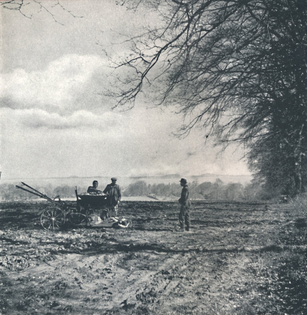 Langt til mark og fure, 1941 af Cecil Beaton