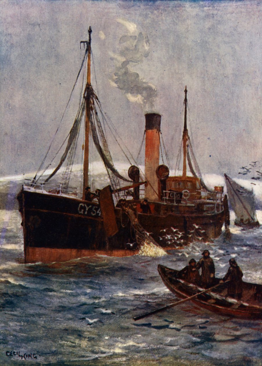 En islandsk damptrawler, ca. 1910 (farve litho) af Cecil King