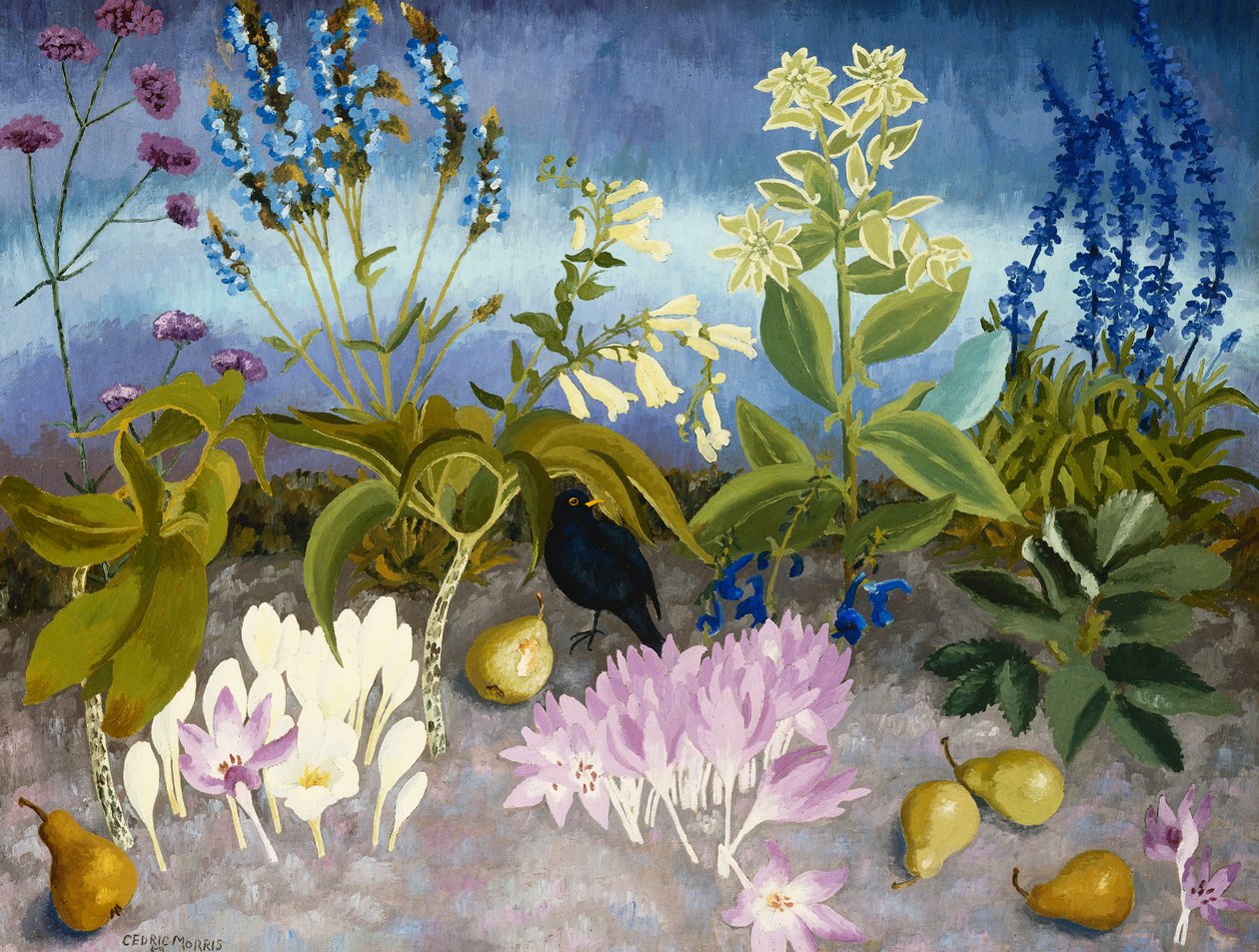 Solsort og blomster af Cedric Morris