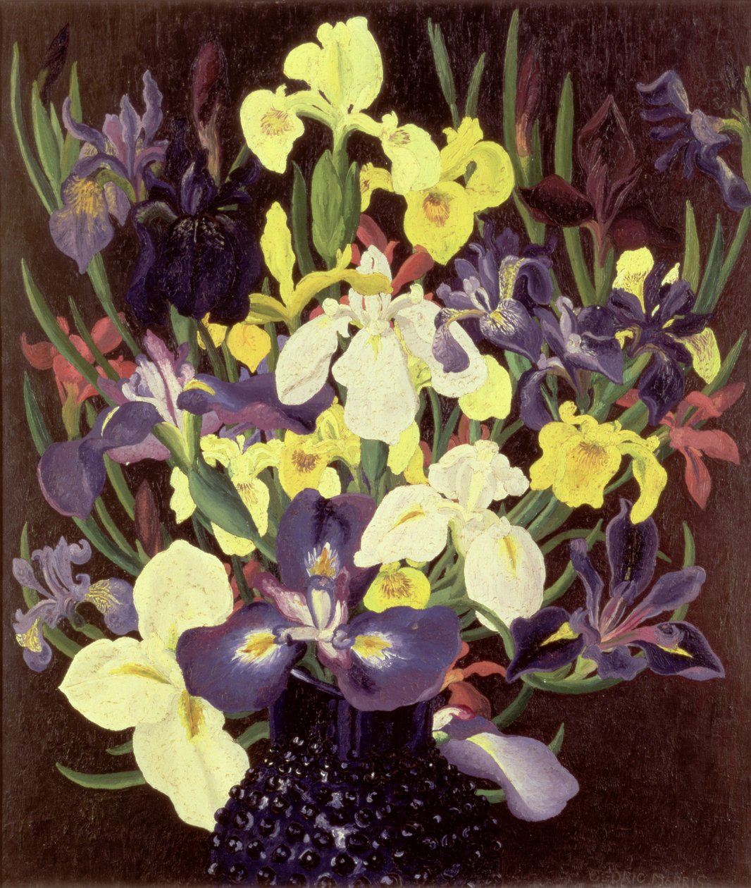 Gruppe af iriser, ca. 1940 af Cedric Morris