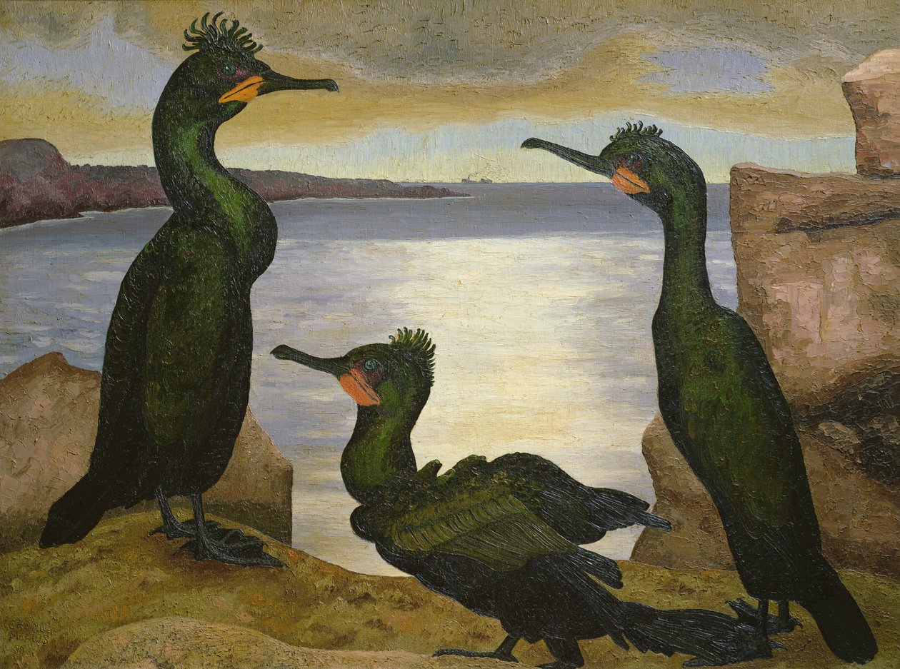 Shags af Cedric Morris