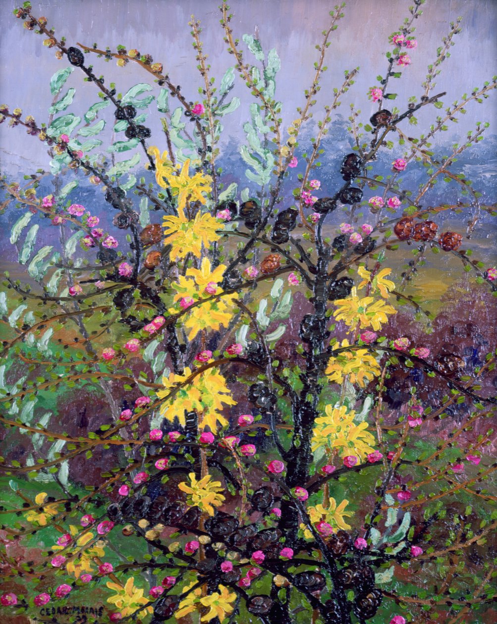 Buske (olie på lærred) af Cedric Morris