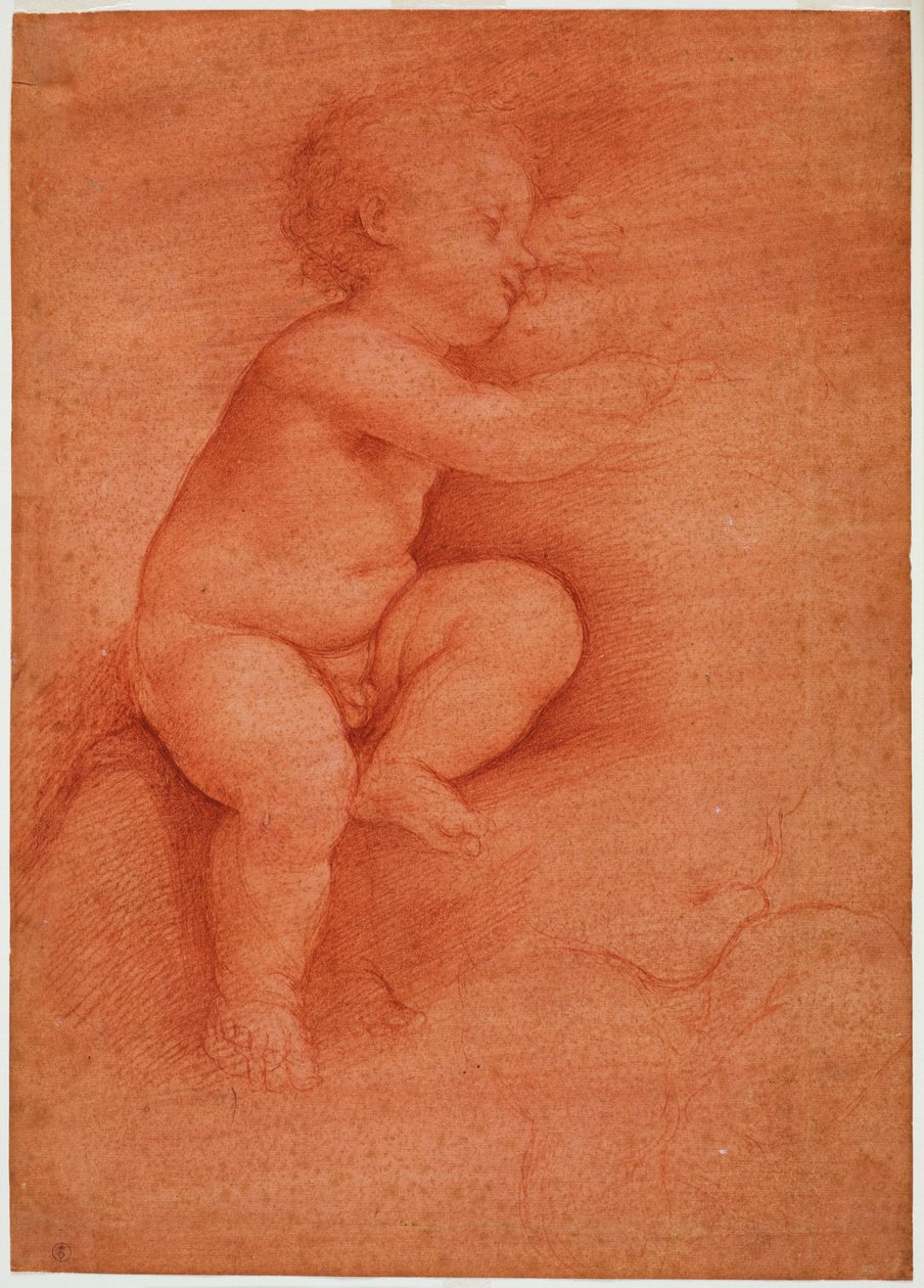 Studie af putto (Baby Jesus), tidligt i det 16. århundrede (blod på rødt forberedt papir) af Cesare da Sesto