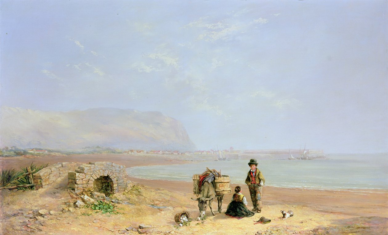 På stranden af Charles Branwhite