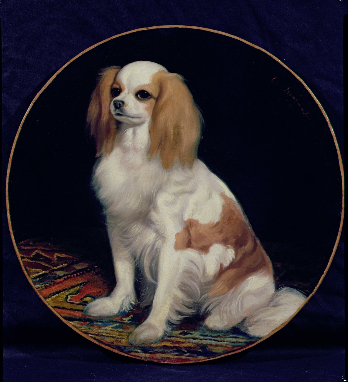 King Charles Spaniel af Charles Emile Callande de Champmartin