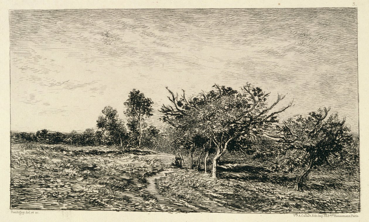 Æbletræer i Auvers (Pommiers a Auvers), 1877 af Charles Francois Daubigny