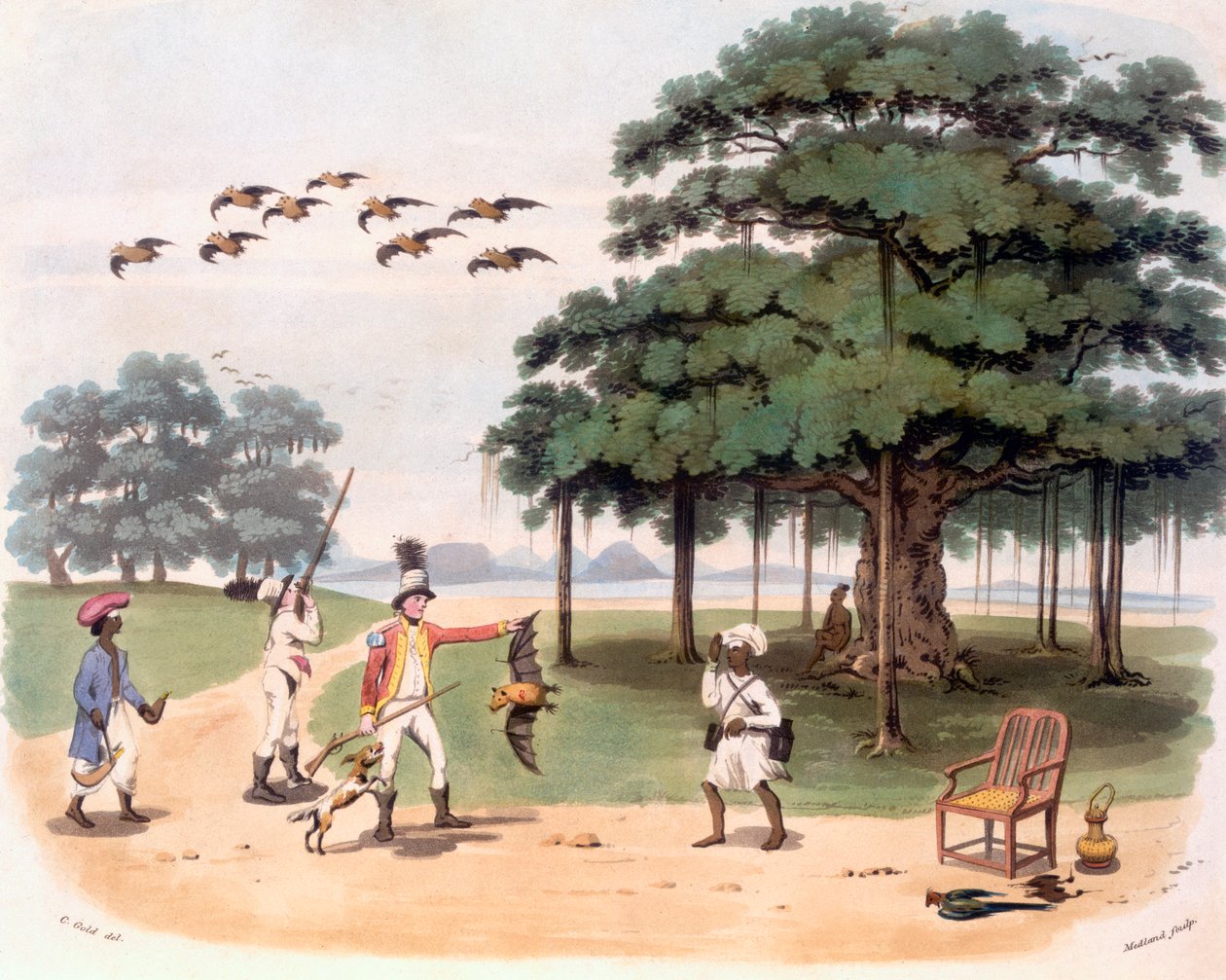 Flyvende ræve ved Banyantree, ca. 1791-98 (farveakvatint) af Charles Emilius Gold
