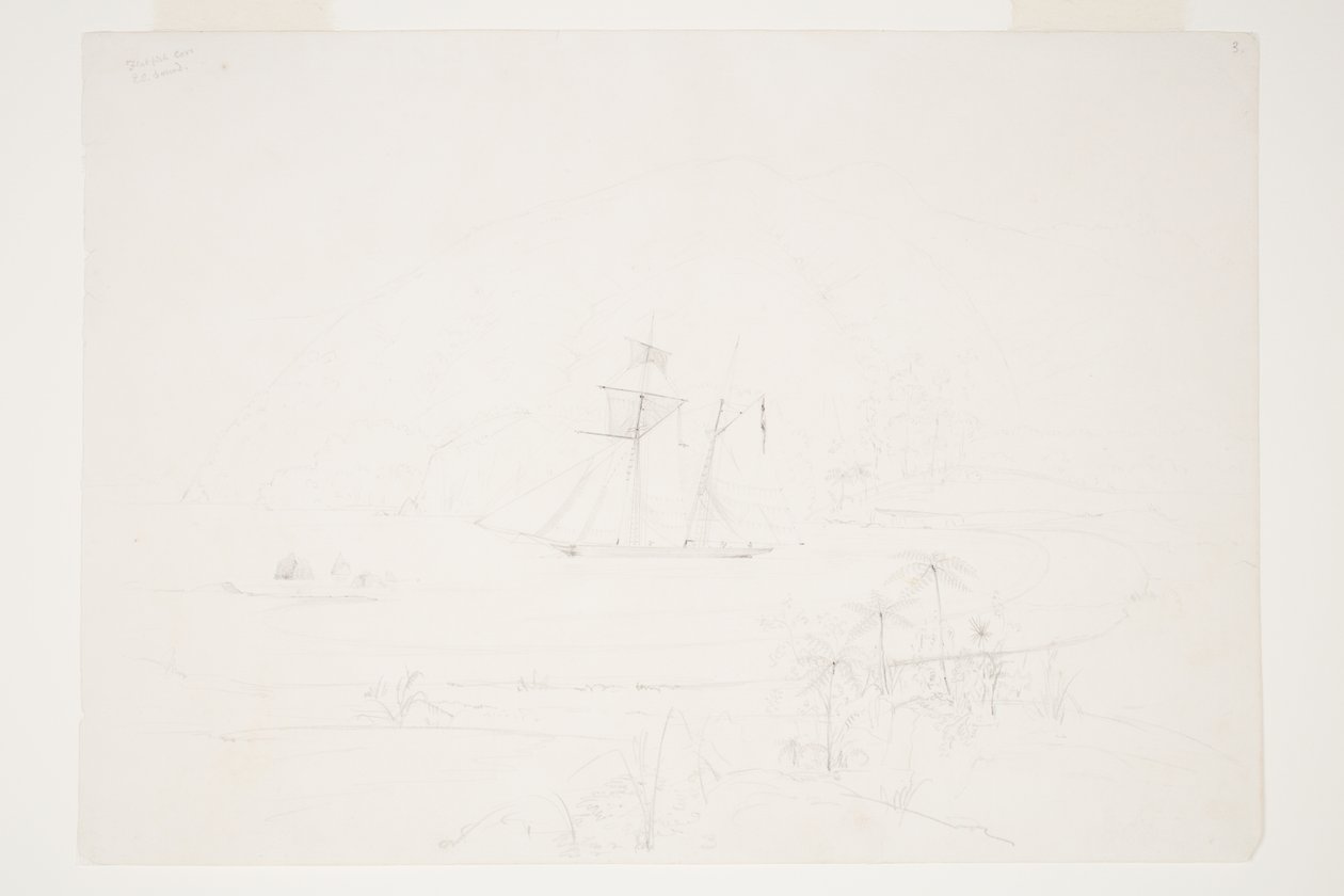 Flatfish Cove Q.C. Lyd af Charles Heaphy