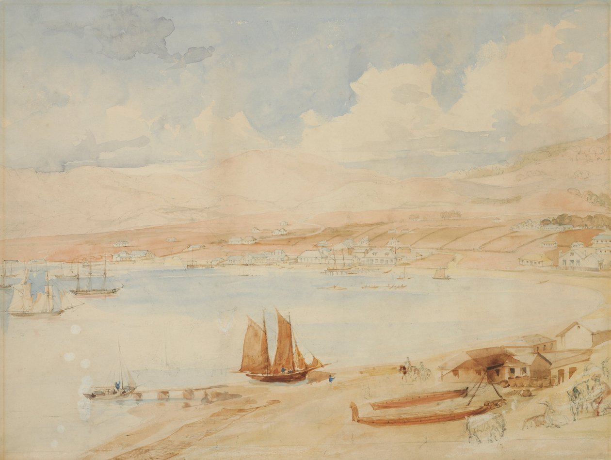 Wellington Harbour, N.Z. af Charles Heaphy