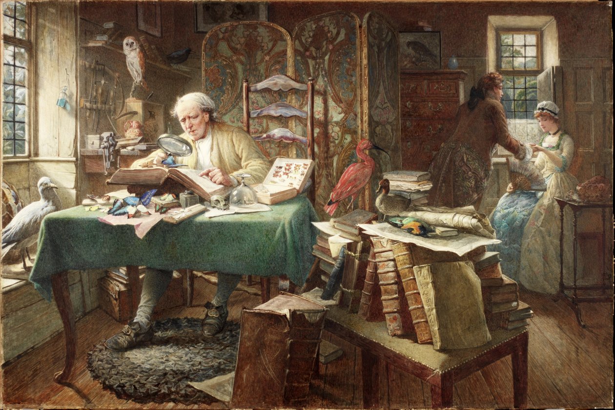 Grubs og sommerfugle (akvarel på papir) af Charles J. Staniland