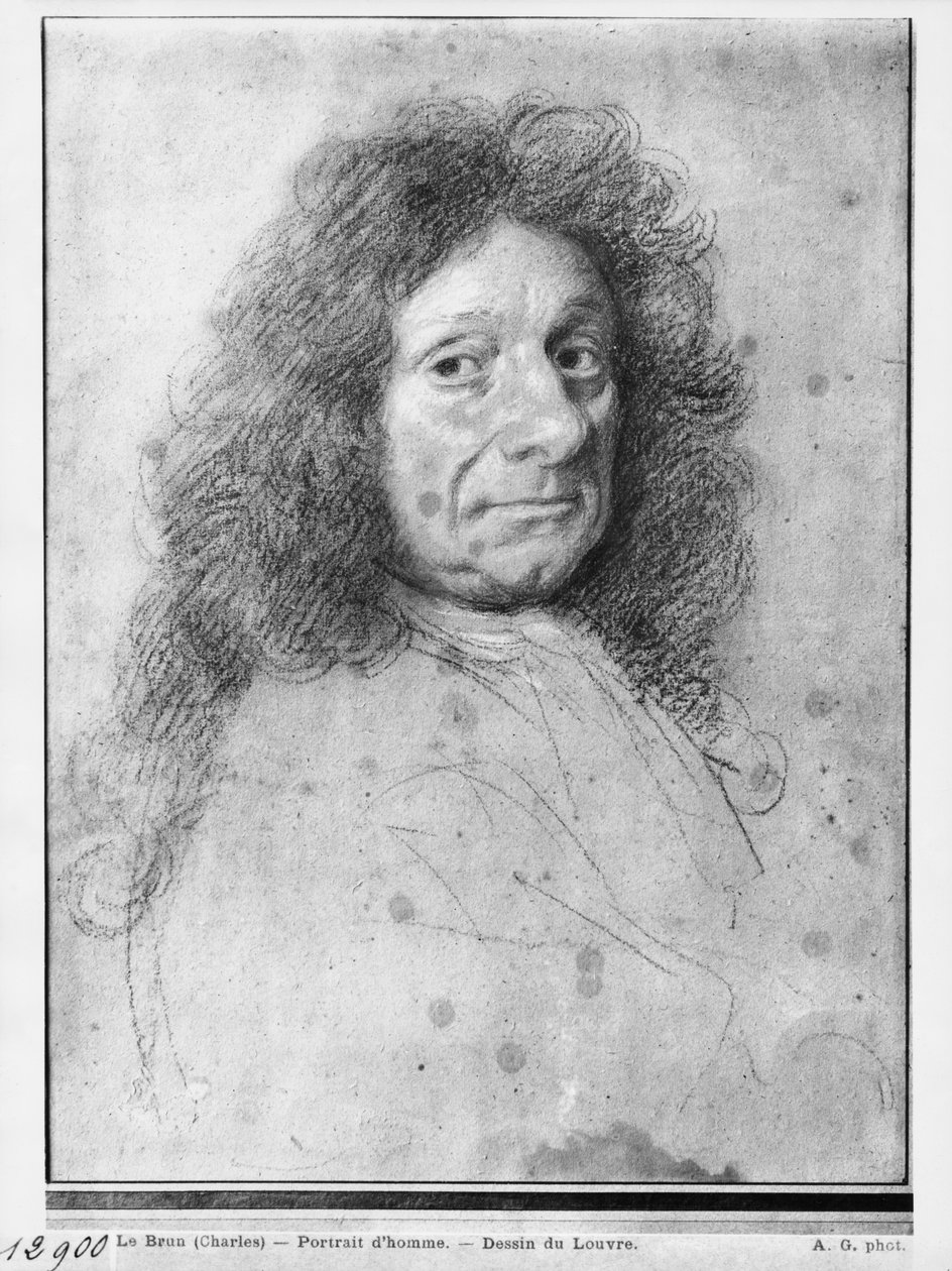 Portræt af en mand, drejet til højre (pastel og kul på gråt beige papir) af Charles Le Brun