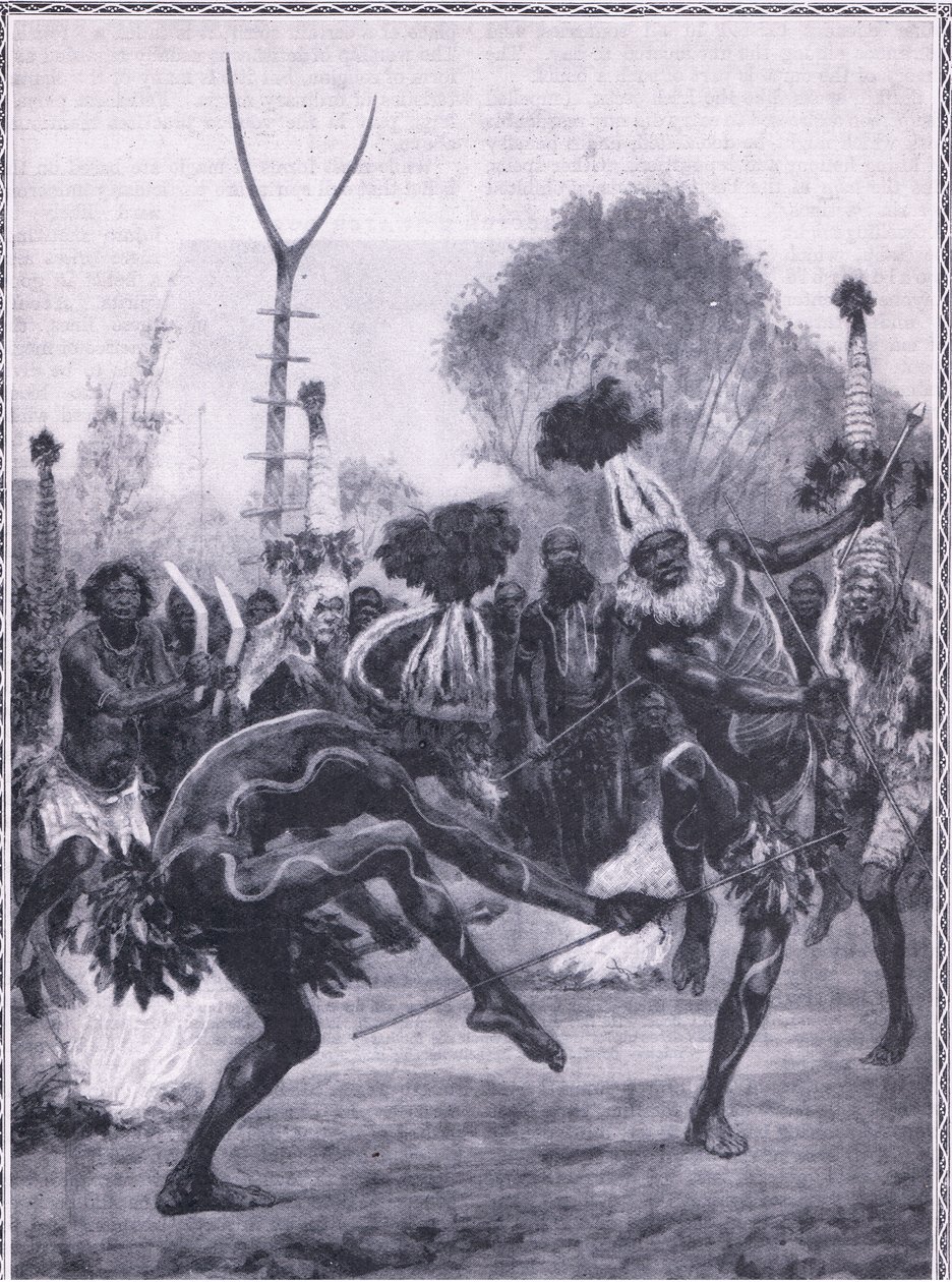 De vilde danse fra Queensland Aboriginees, der udfører 