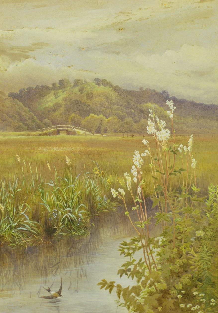 Ved floden af Charles Robertson