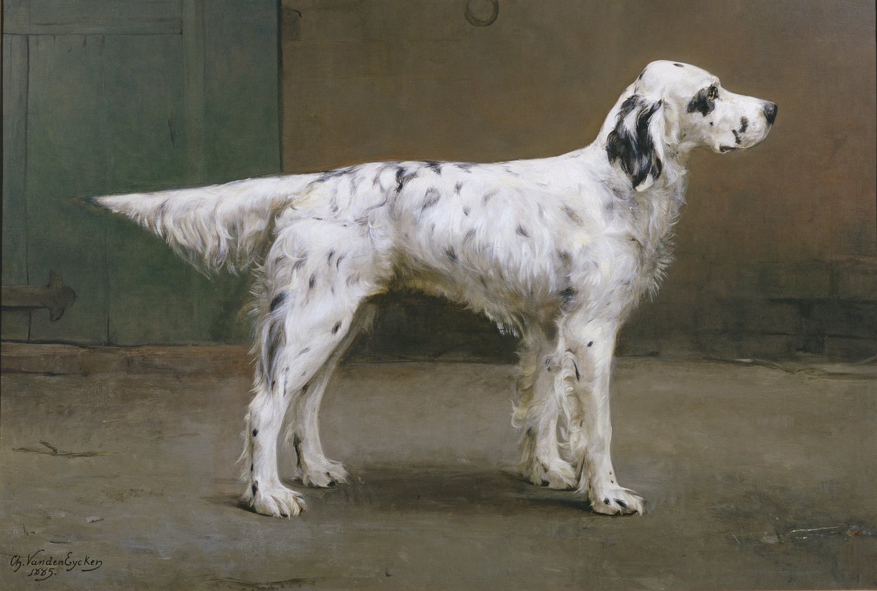 Portræt af en hund, 1885 (par til 378730) af Charles van den Eycken