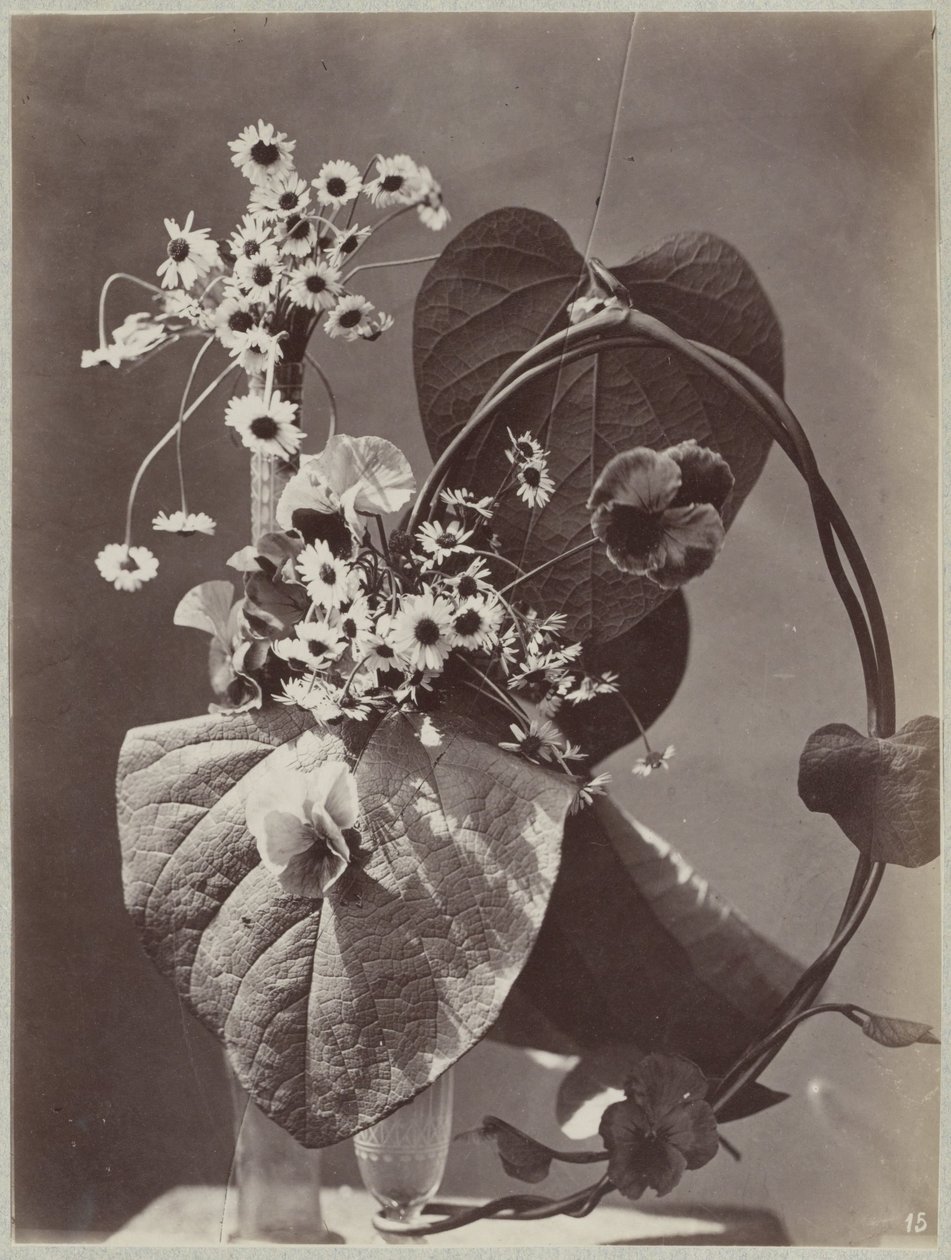 Blomsterstudie med glasvaser af Charles Aubry (manner of)