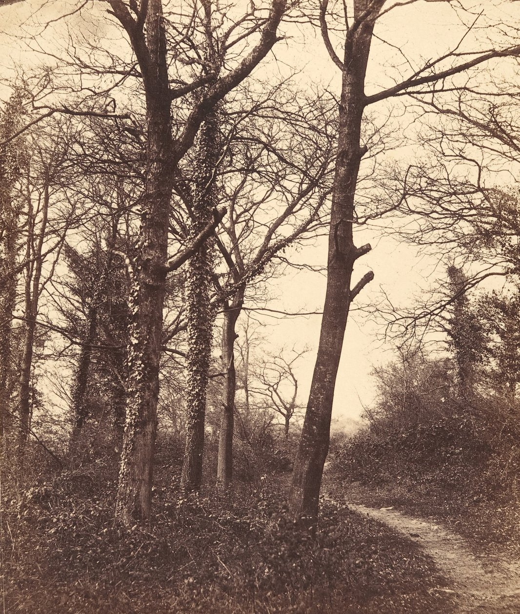 Vinter, 1855. af Charles Conway