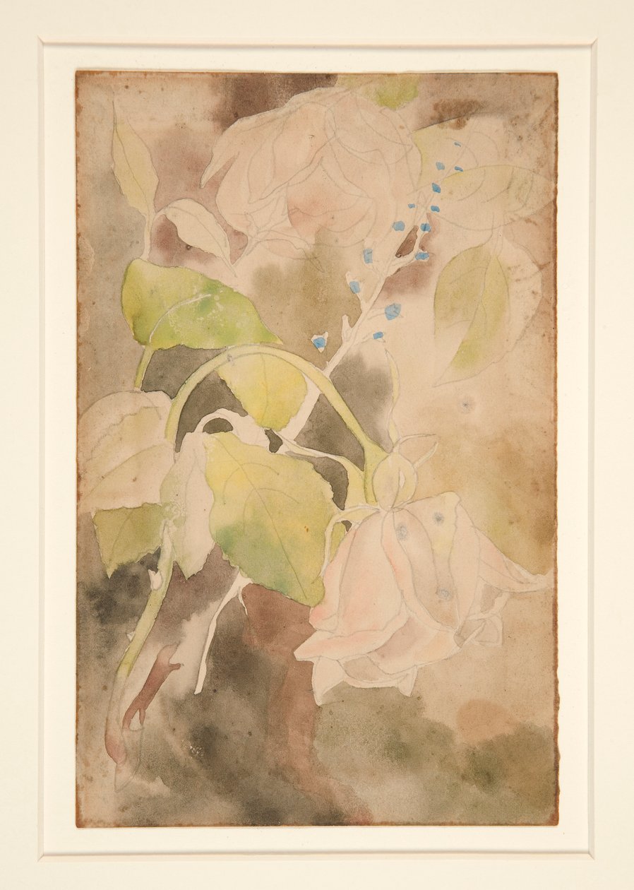 Peachy Rose af Charles Demuth