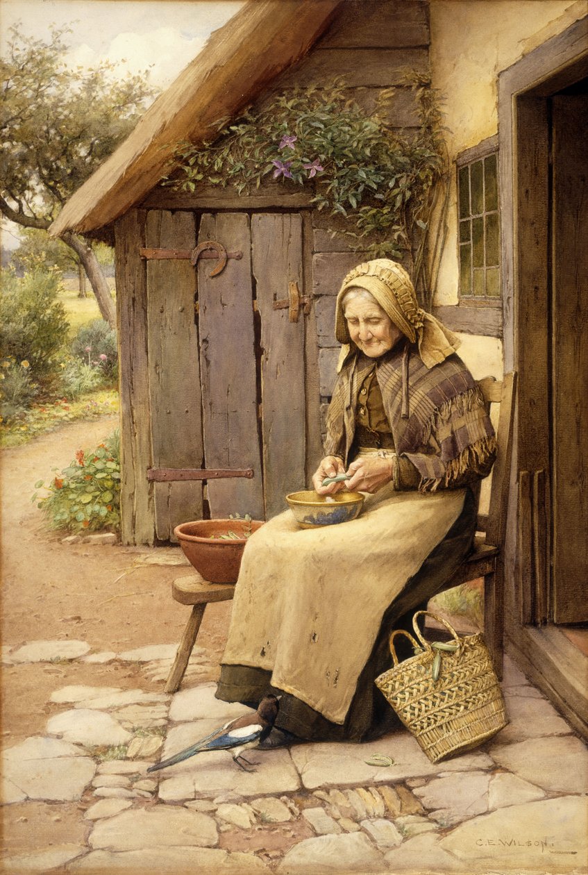 En finfjeret ven (w/c på papir) af Charles Edward Wilson